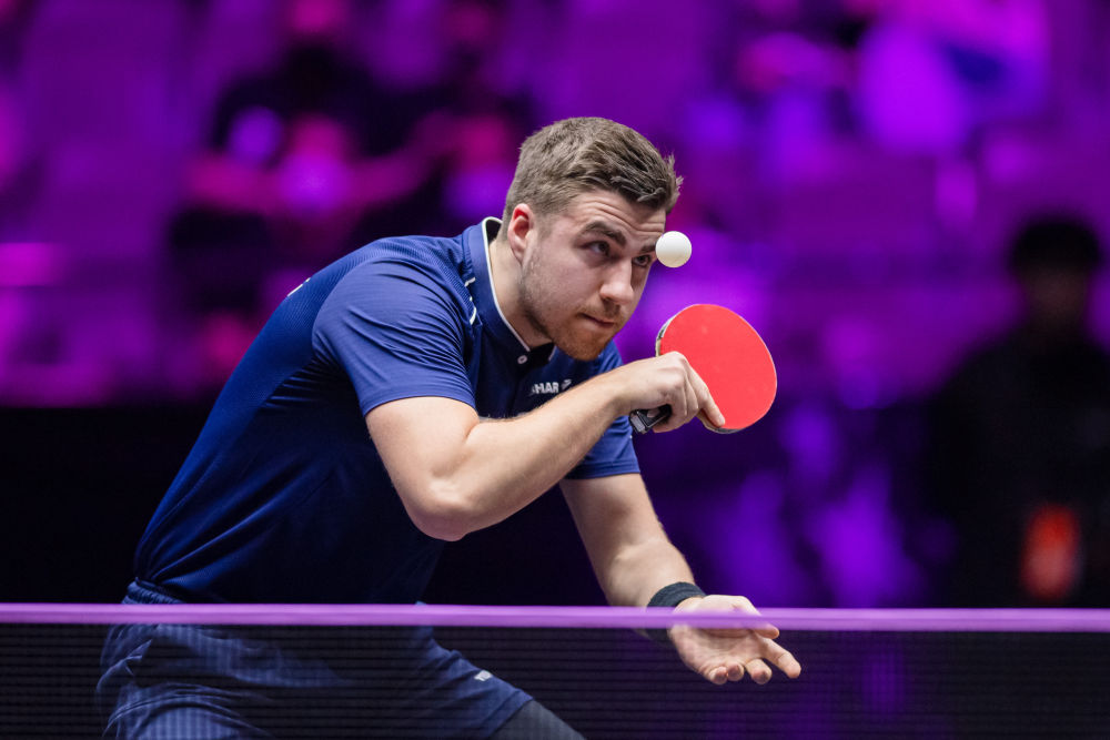 自己的荣誉 自己的荣誉