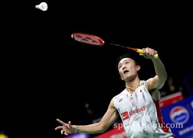 远的影响 远的影响