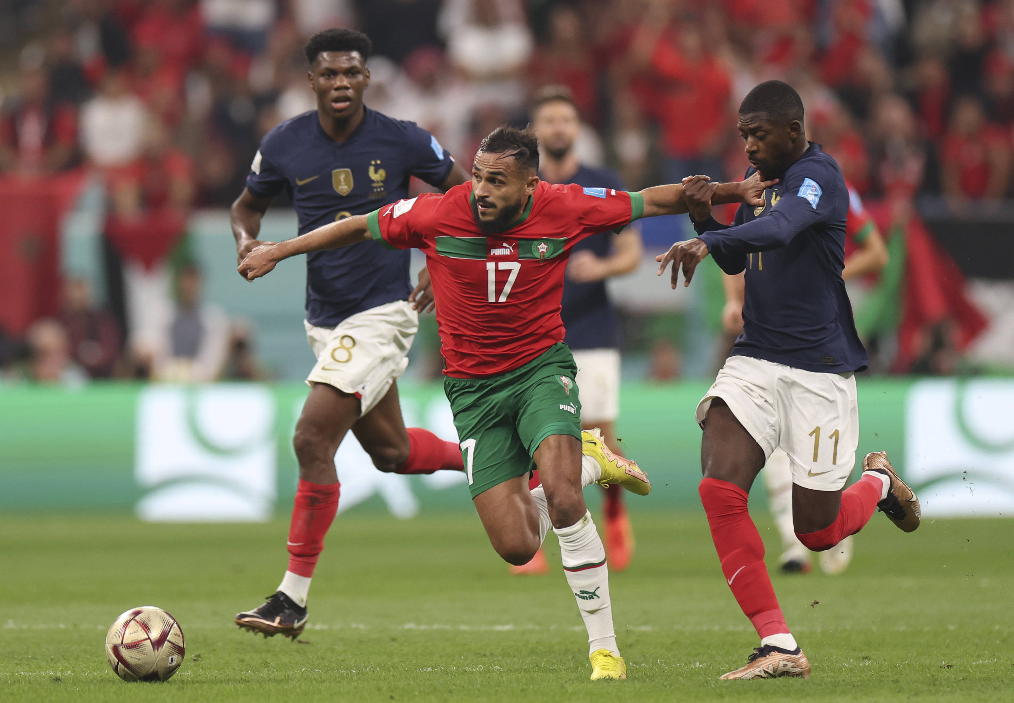 未来的希望 未来的希望