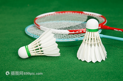 加维的全能 加维的全能